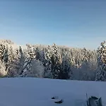 Daire Wierchowe Leśnica