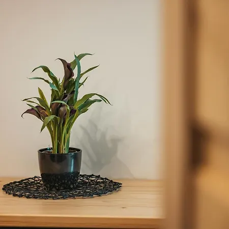 Wierchowe Apartamento Leśnica