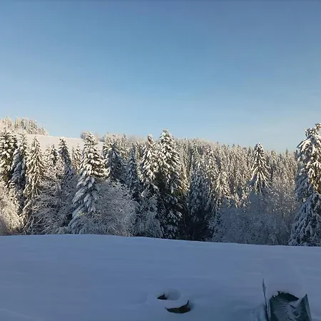 Lägenhet Wierchowe Leśnica