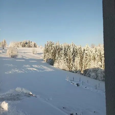 Wierchowe Apartamento Leśnica