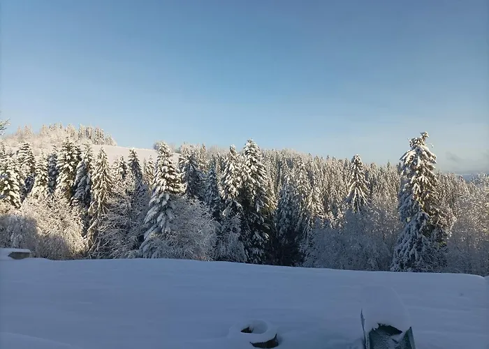 Appartamento Wierchowe Leśnica